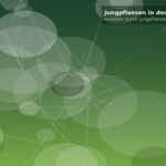 Jungpflanzen in der Anzucht