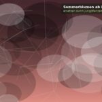 Sommerblumen